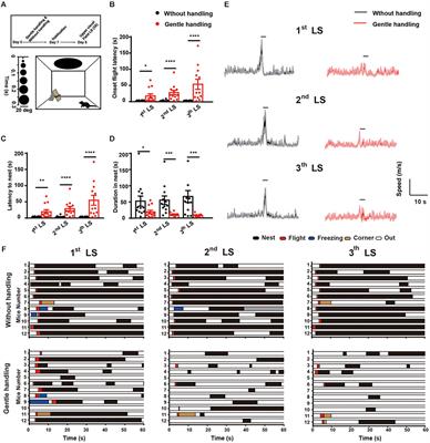 Gentle Handling Attenuates Innate Defensive Responses to Visual Threats